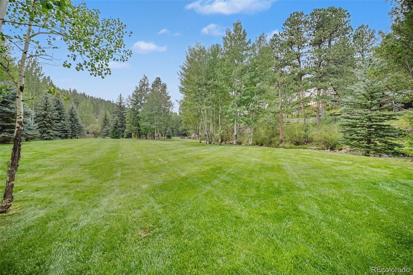 MLS Image #33 for 34123  upper bear creek road,evergreen, Colorado