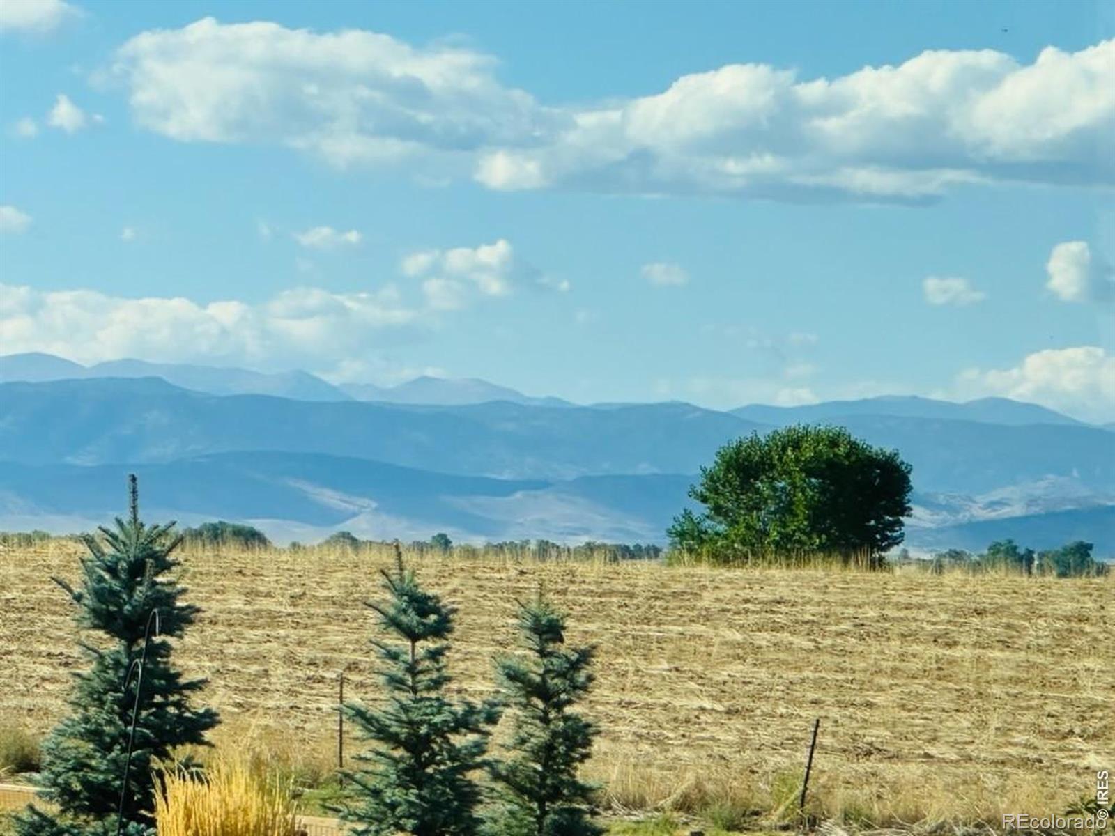 MLS Image #36 for 1981  miranda road,erie, Colorado