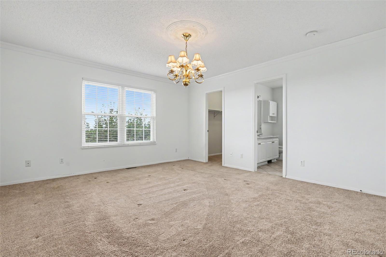 MLS Image #25 for 652  welsh circle,colorado springs, Colorado