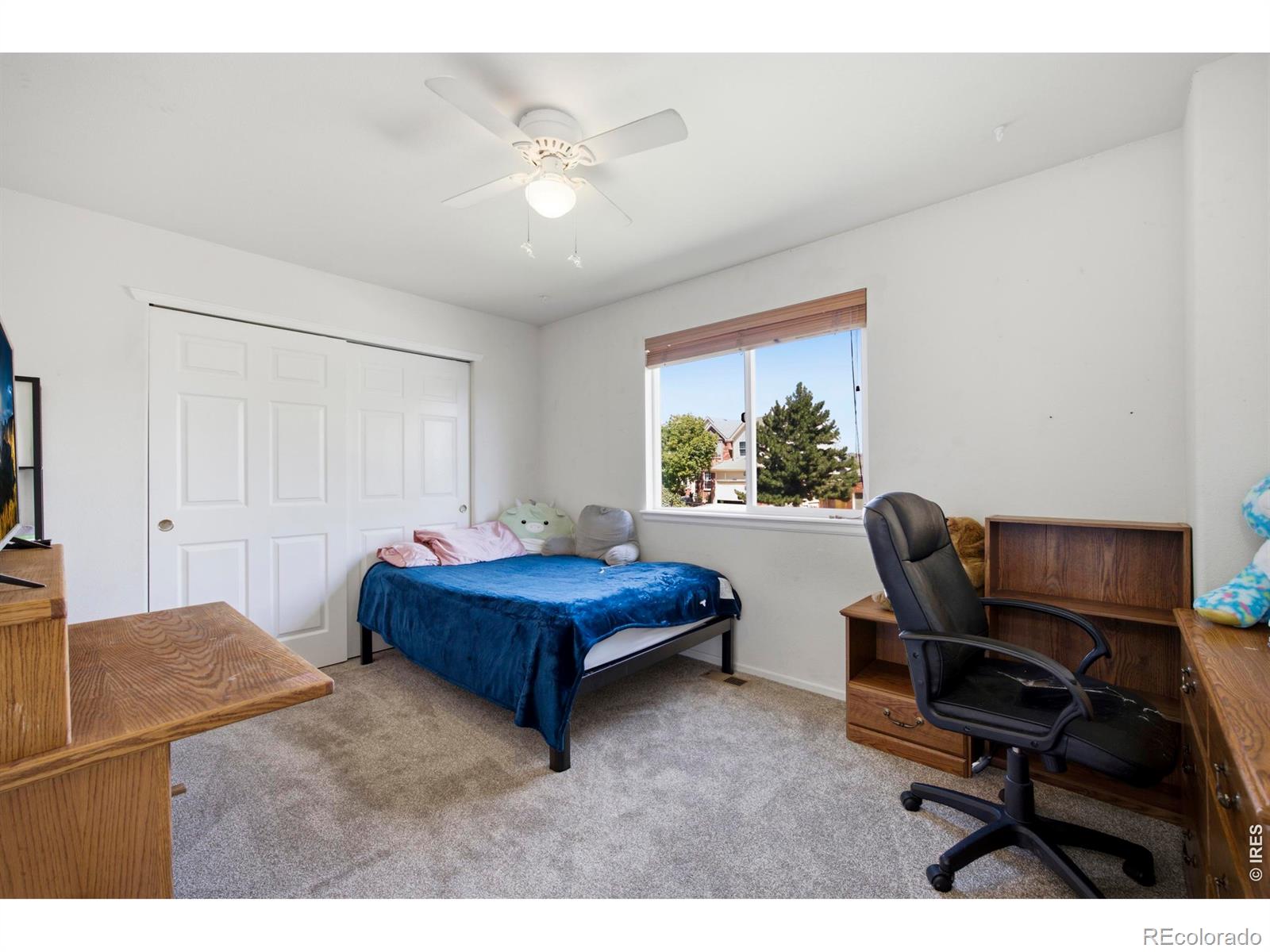 MLS Image #29 for 1303  poppy court,fort collins, Colorado