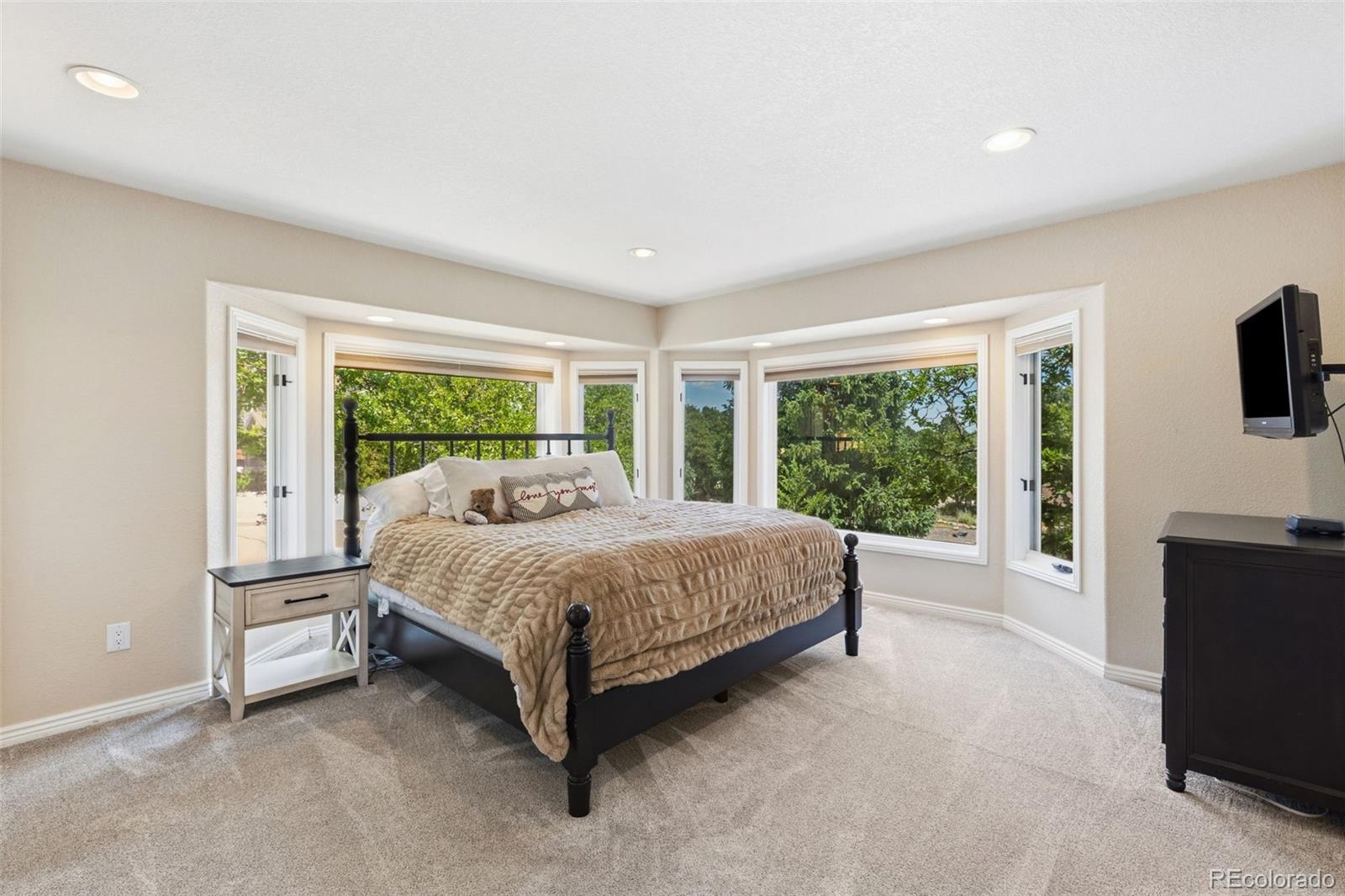 MLS Image #20 for 225  thames drive,colorado springs, Colorado