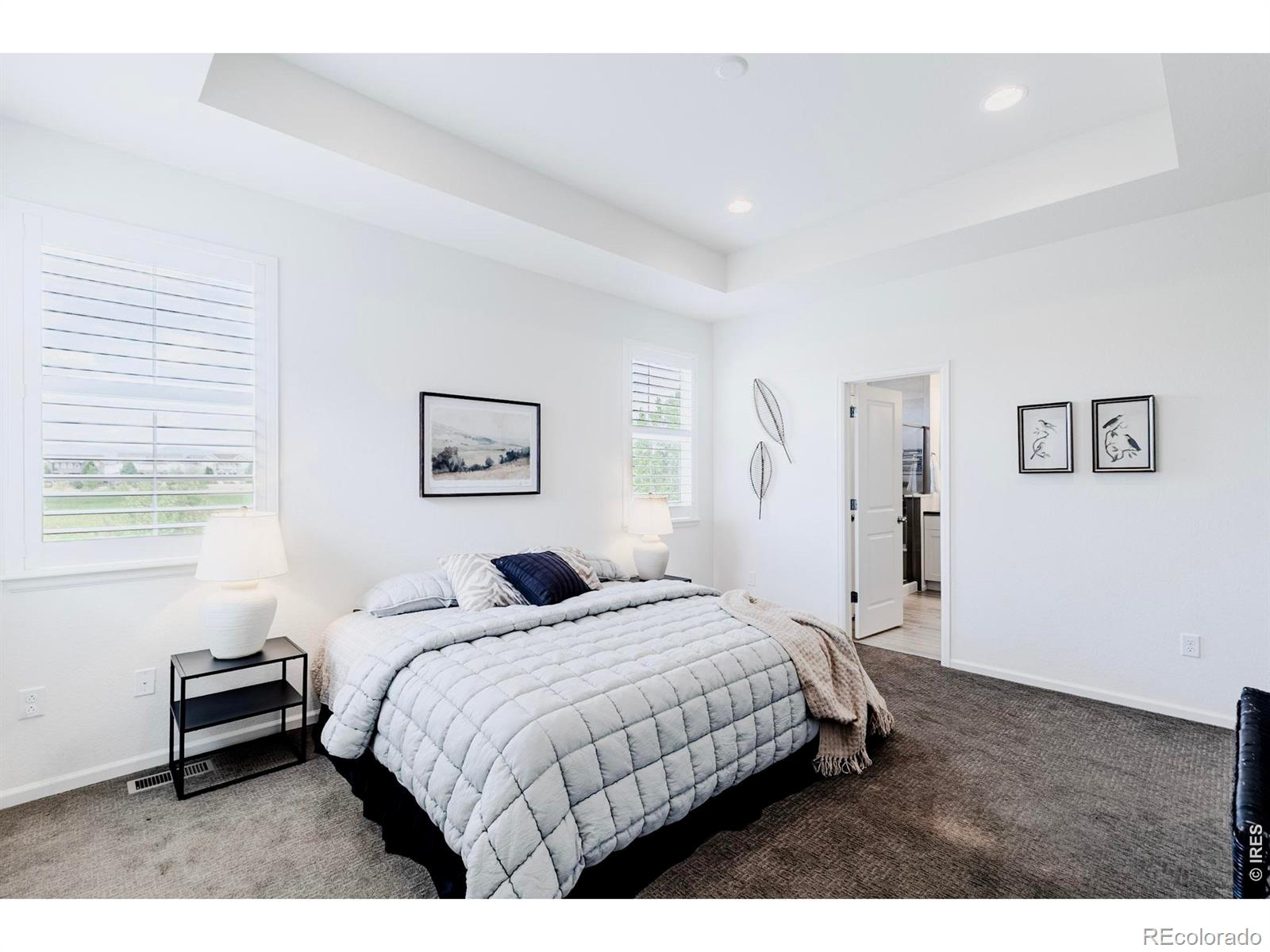MLS Image #16 for 233  dassault street,fort collins, Colorado