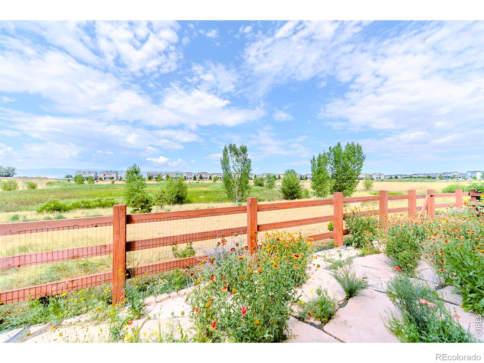 MLS Image #29 for 233  dassault street,fort collins, Colorado