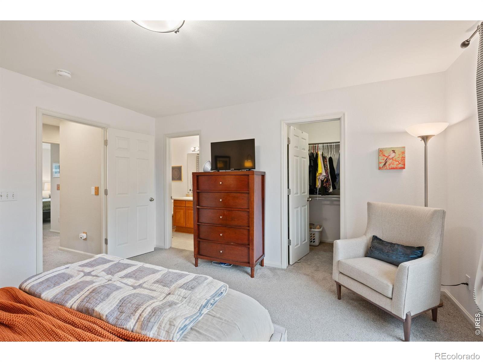 MLS Image #20 for 1181  riddlewood road,littleton, Colorado
