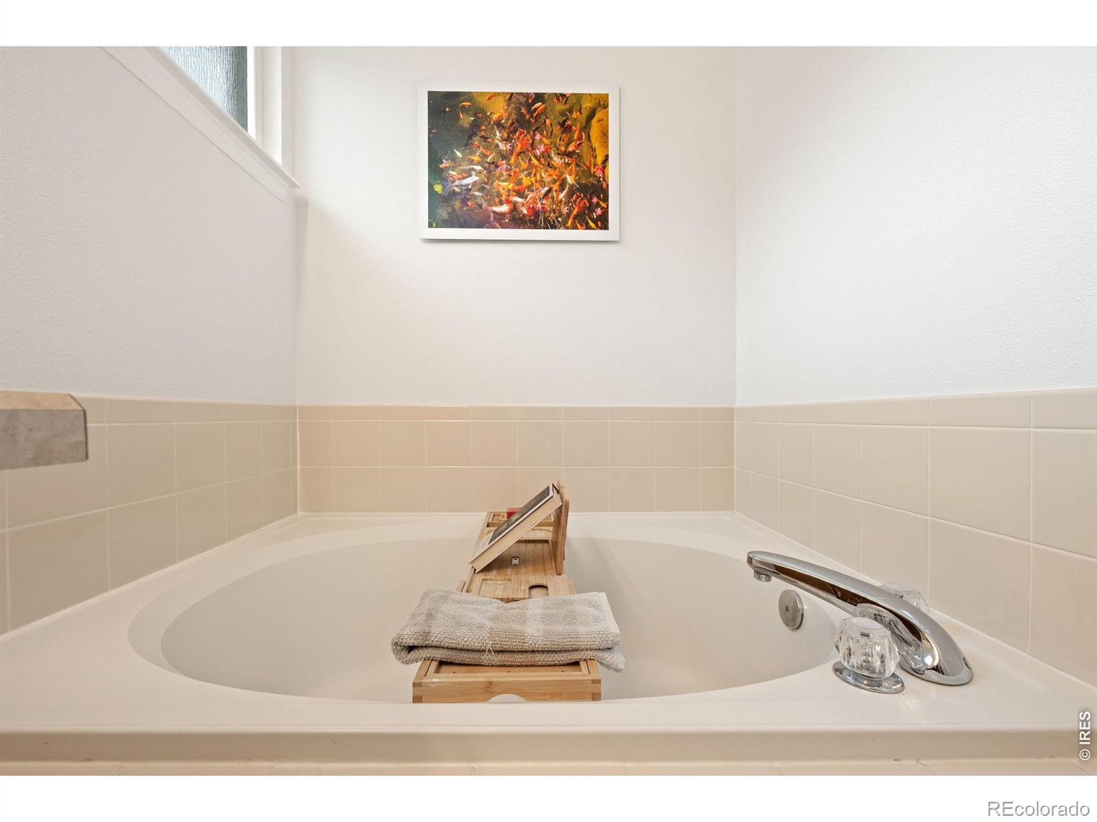 MLS Image #22 for 1181  riddlewood road,littleton, Colorado
