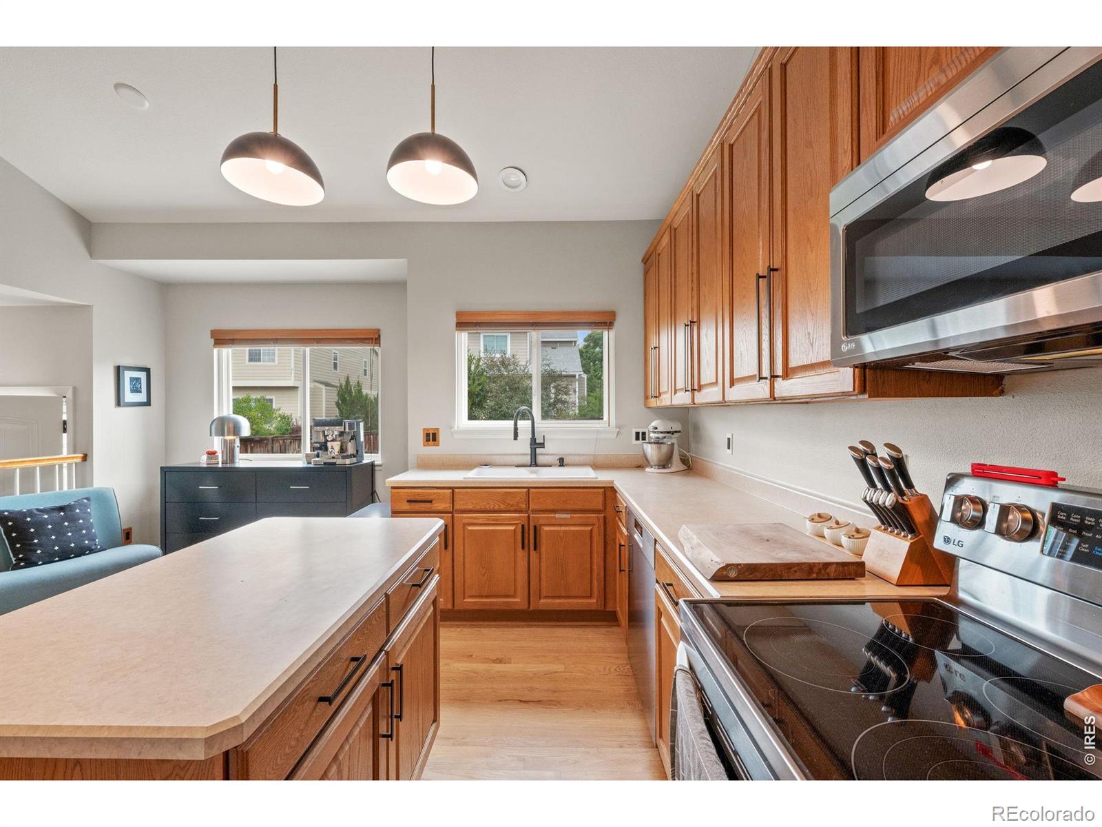 MLS Image #9 for 1181  riddlewood road,littleton, Colorado