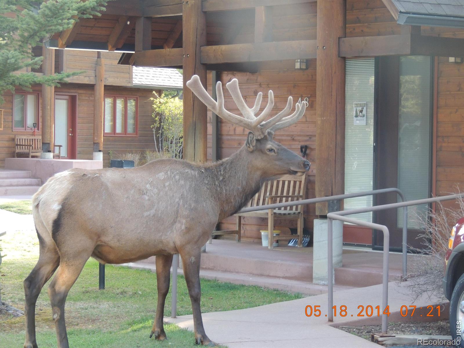 MLS Image #0 for 1565  highway 66 ,estes park, Colorado