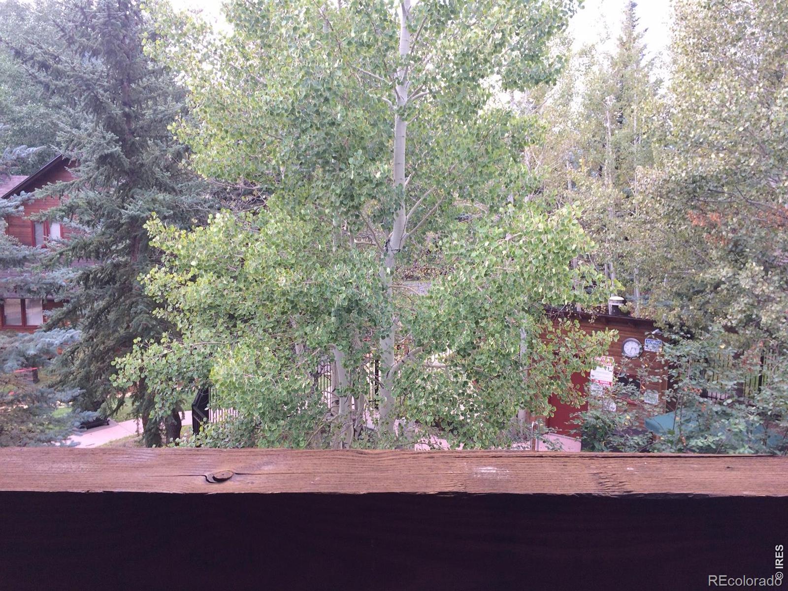 MLS Image #16 for 1565  highway 66 ,estes park, Colorado