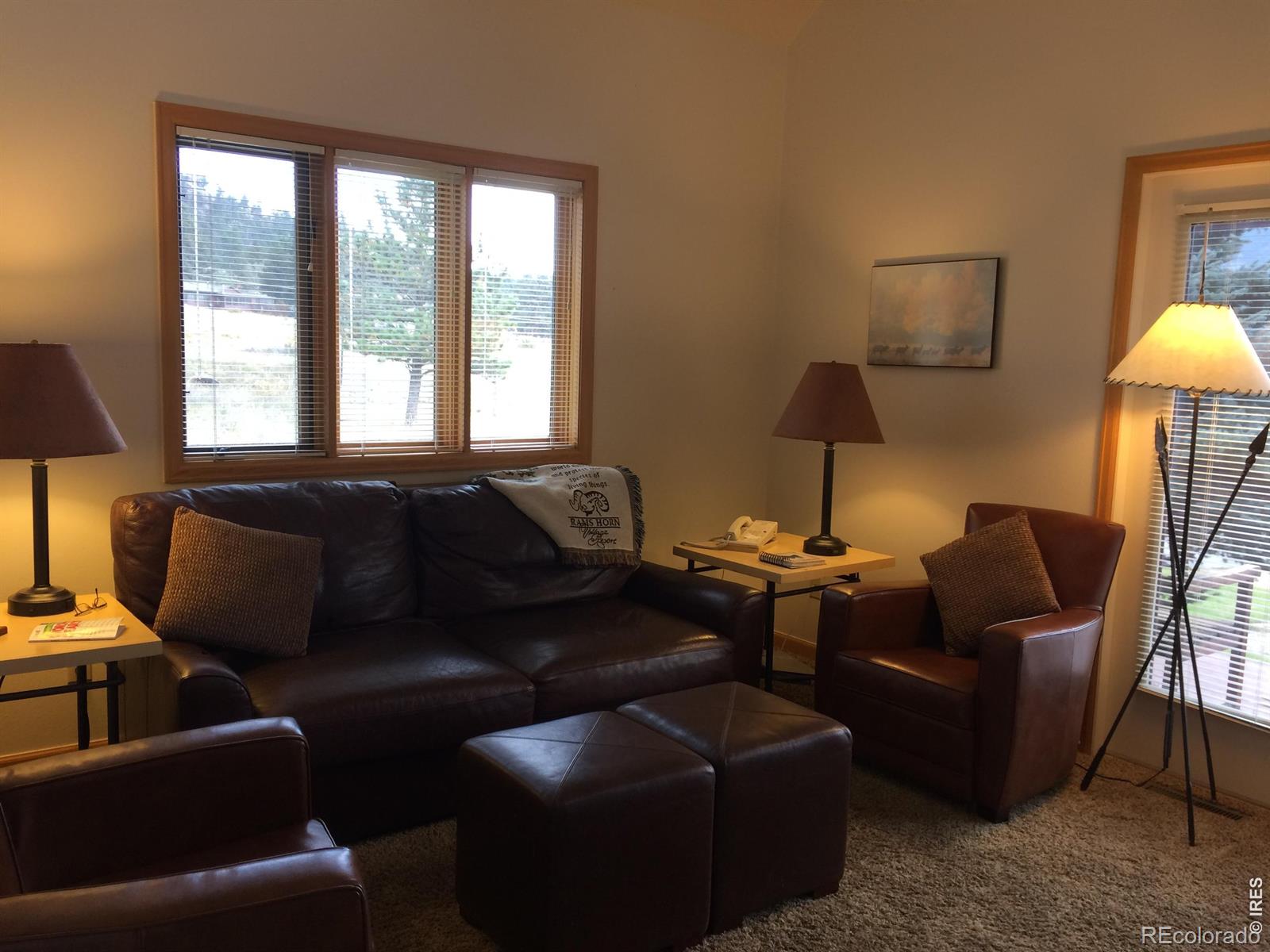 MLS Image #3 for 1565  highway 66 ,estes park, Colorado