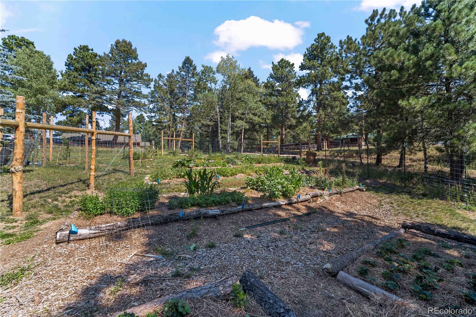 MLS Image #39 for 28894  corkwood lane,evergreen, Colorado