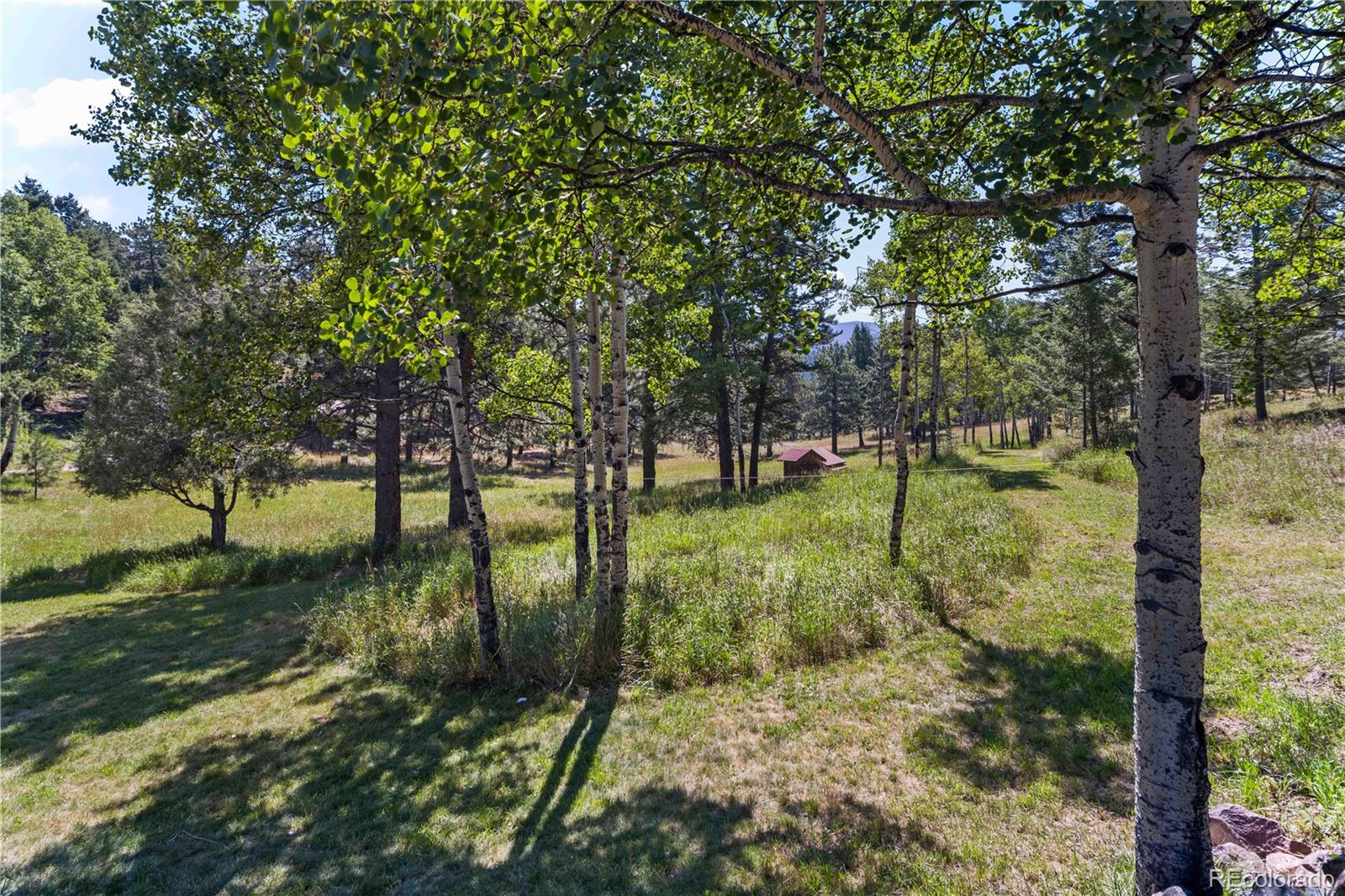 MLS Image #40 for 28894  corkwood lane,evergreen, Colorado