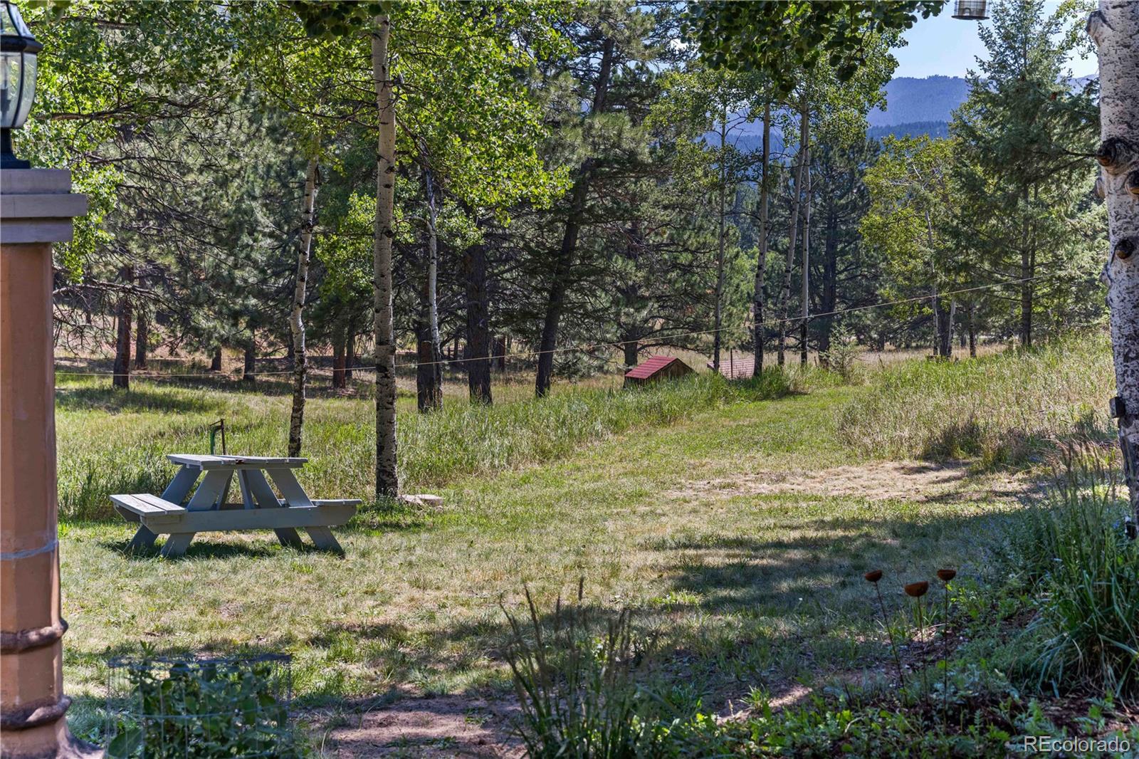 MLS Image #41 for 28894  corkwood lane,evergreen, Colorado