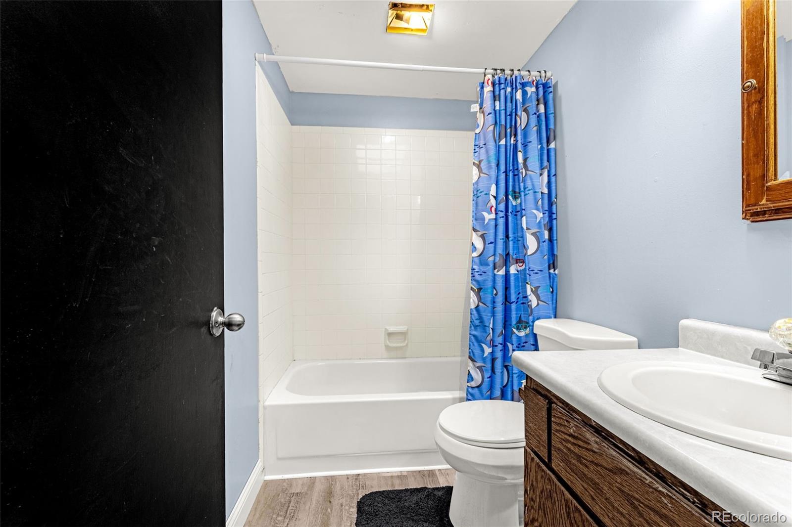 MLS Image #12 for 405 e galena avenue,cripple creek, Colorado