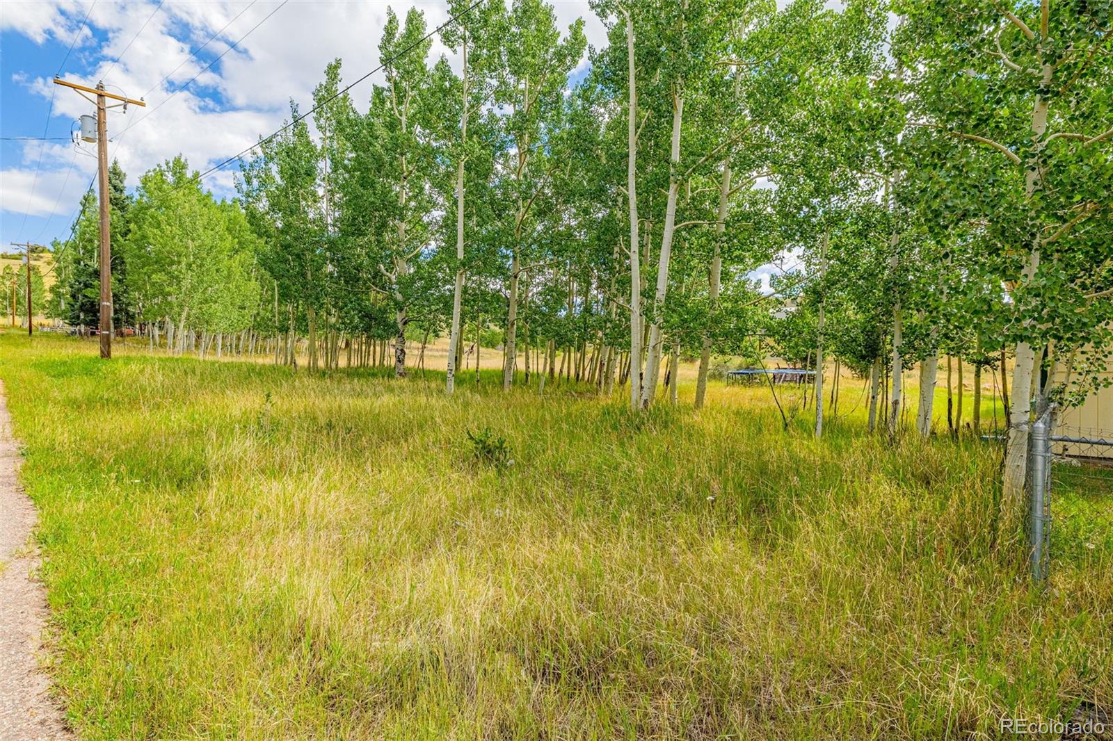 MLS Image #28 for 405 e galena avenue,cripple creek, Colorado