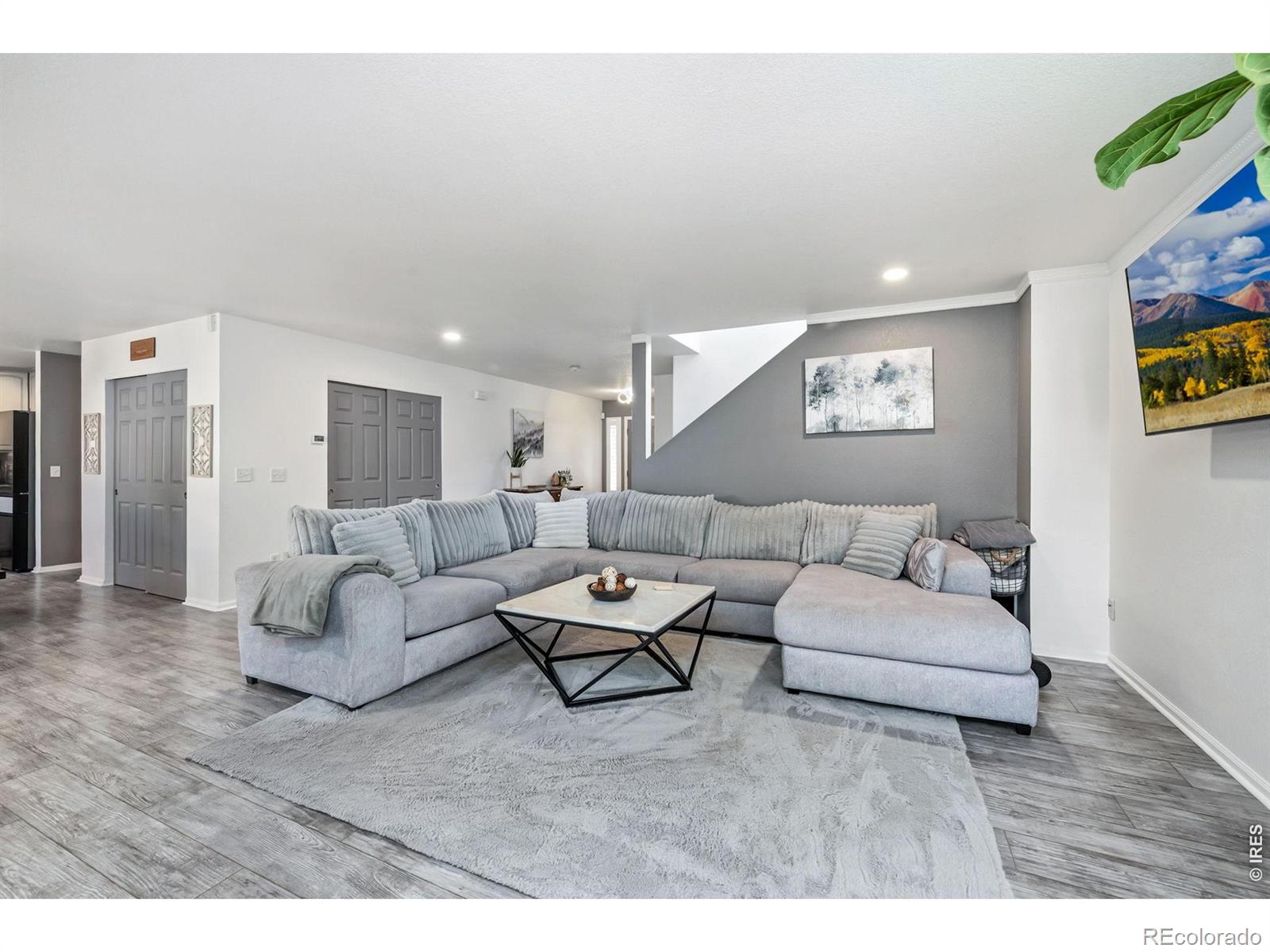 MLS Image #10 for 1565  bengal avenue,loveland, Colorado
