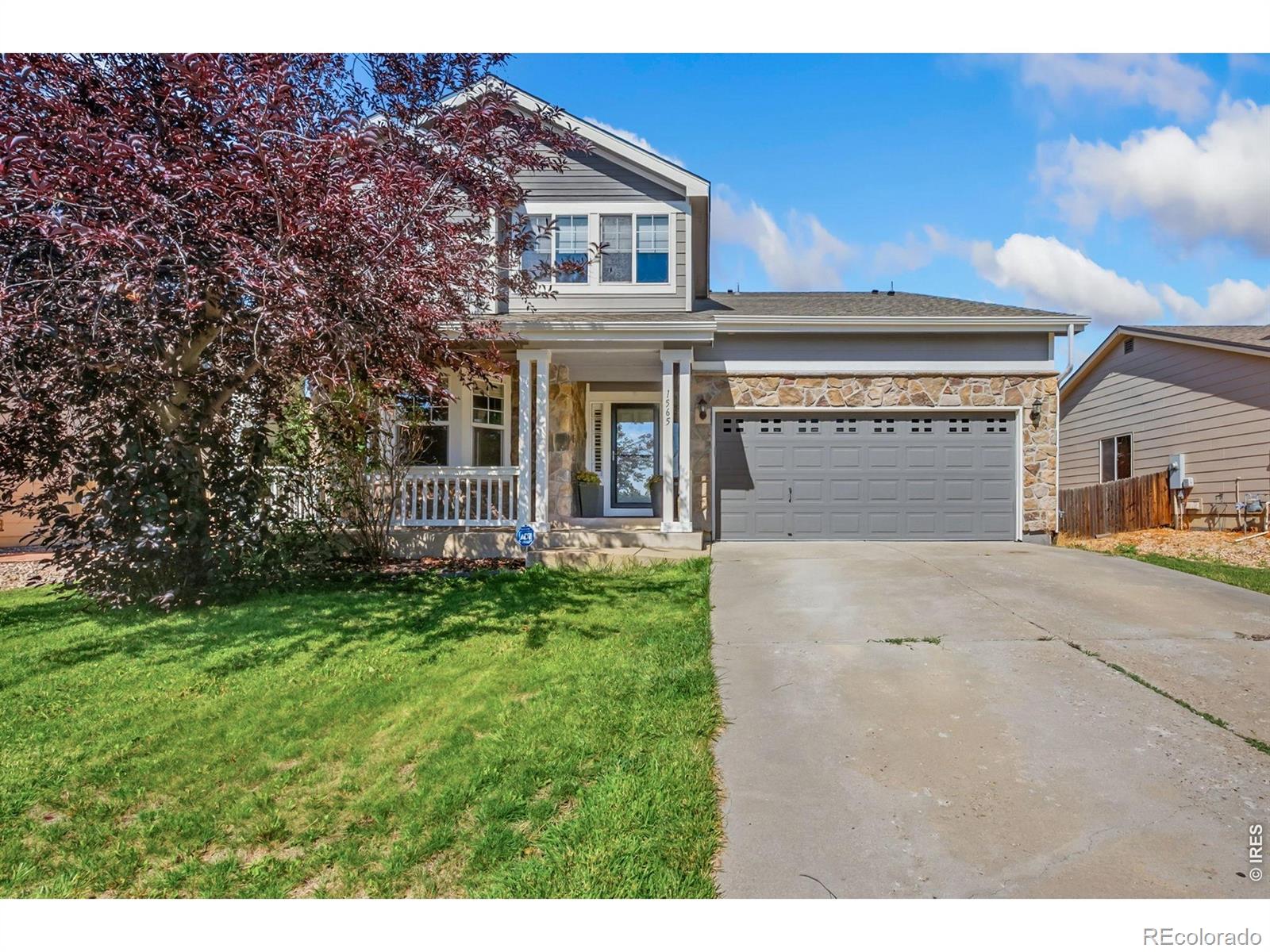MLS Image #2 for 1565  bengal avenue,loveland, Colorado