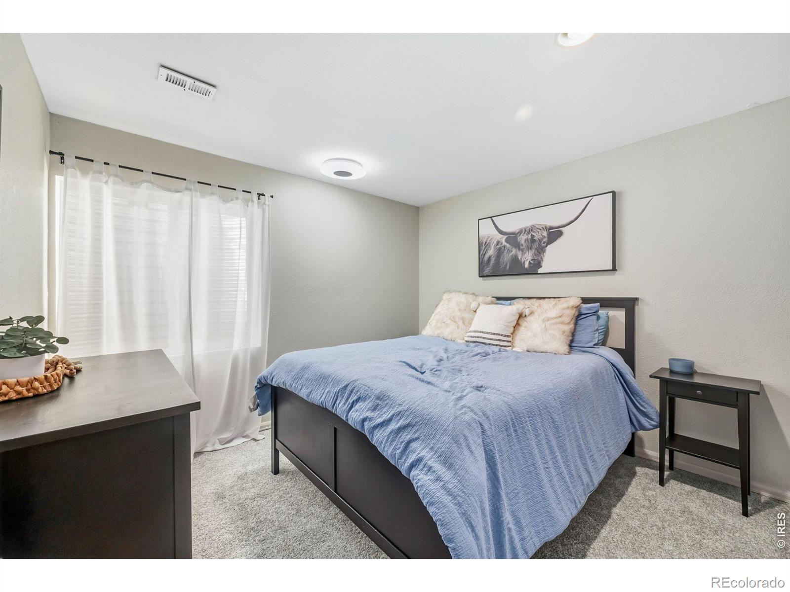 MLS Image #29 for 1565  bengal avenue,loveland, Colorado