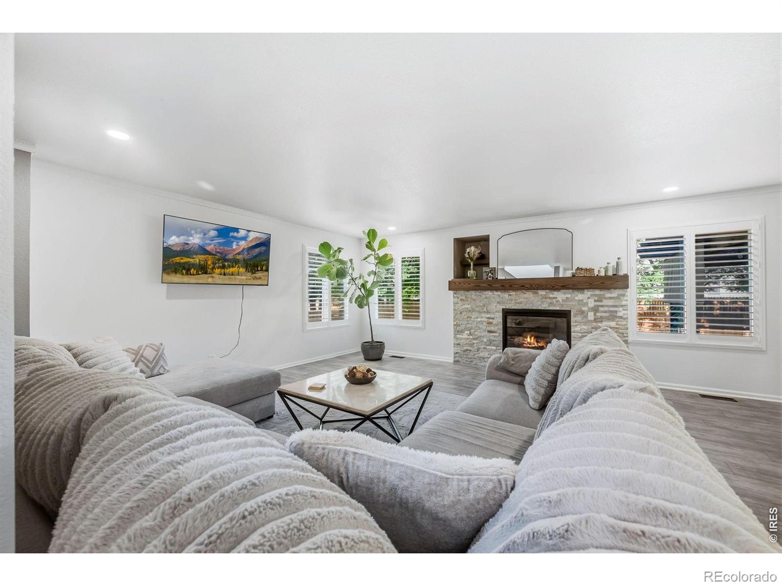 MLS Image #8 for 1565  bengal avenue,loveland, Colorado
