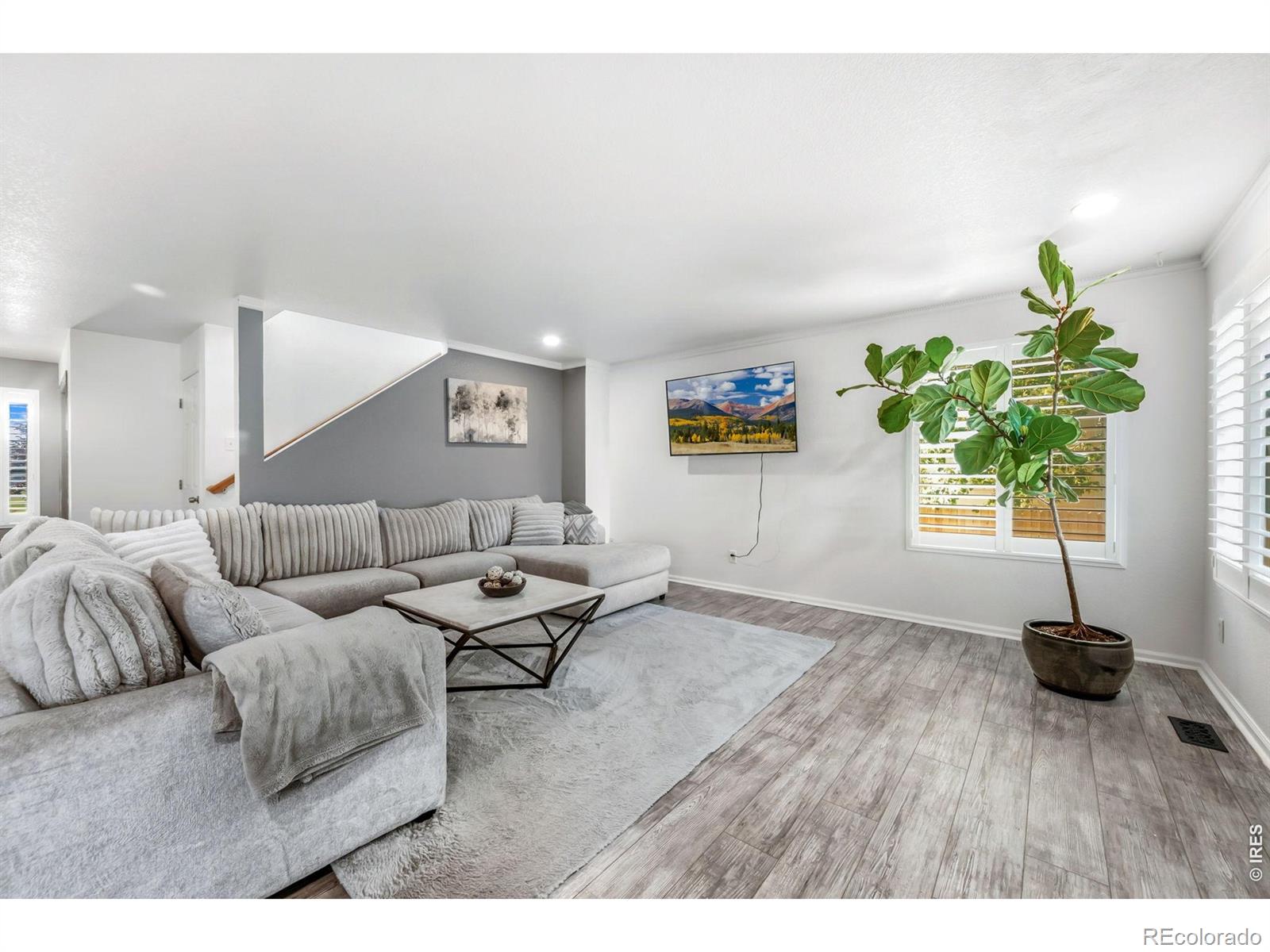 MLS Image #9 for 1565  bengal avenue,loveland, Colorado