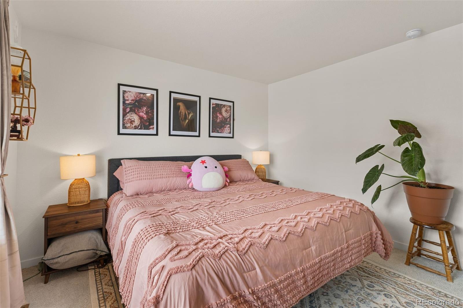MLS Image #28 for 500 s denver avenue,fort lupton, Colorado