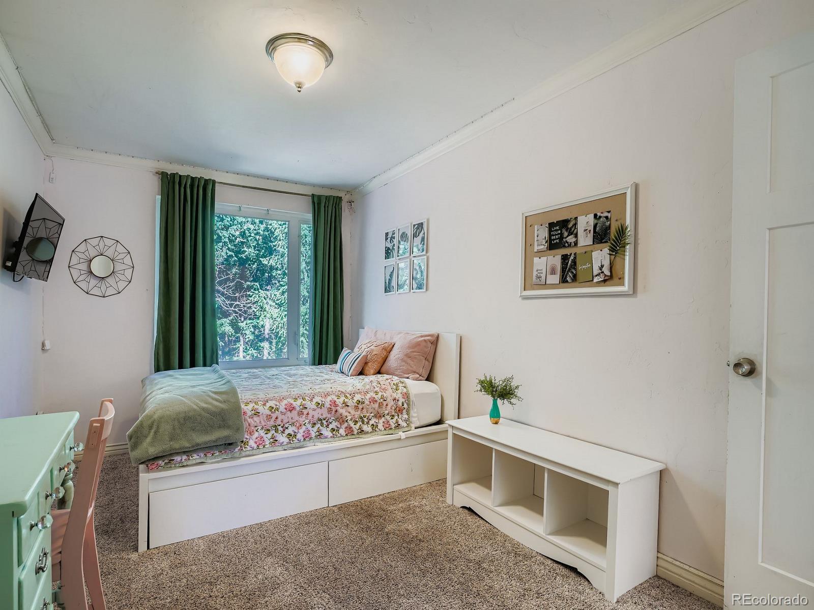 MLS Image #11 for 6434  joan lane,evergreen, Colorado