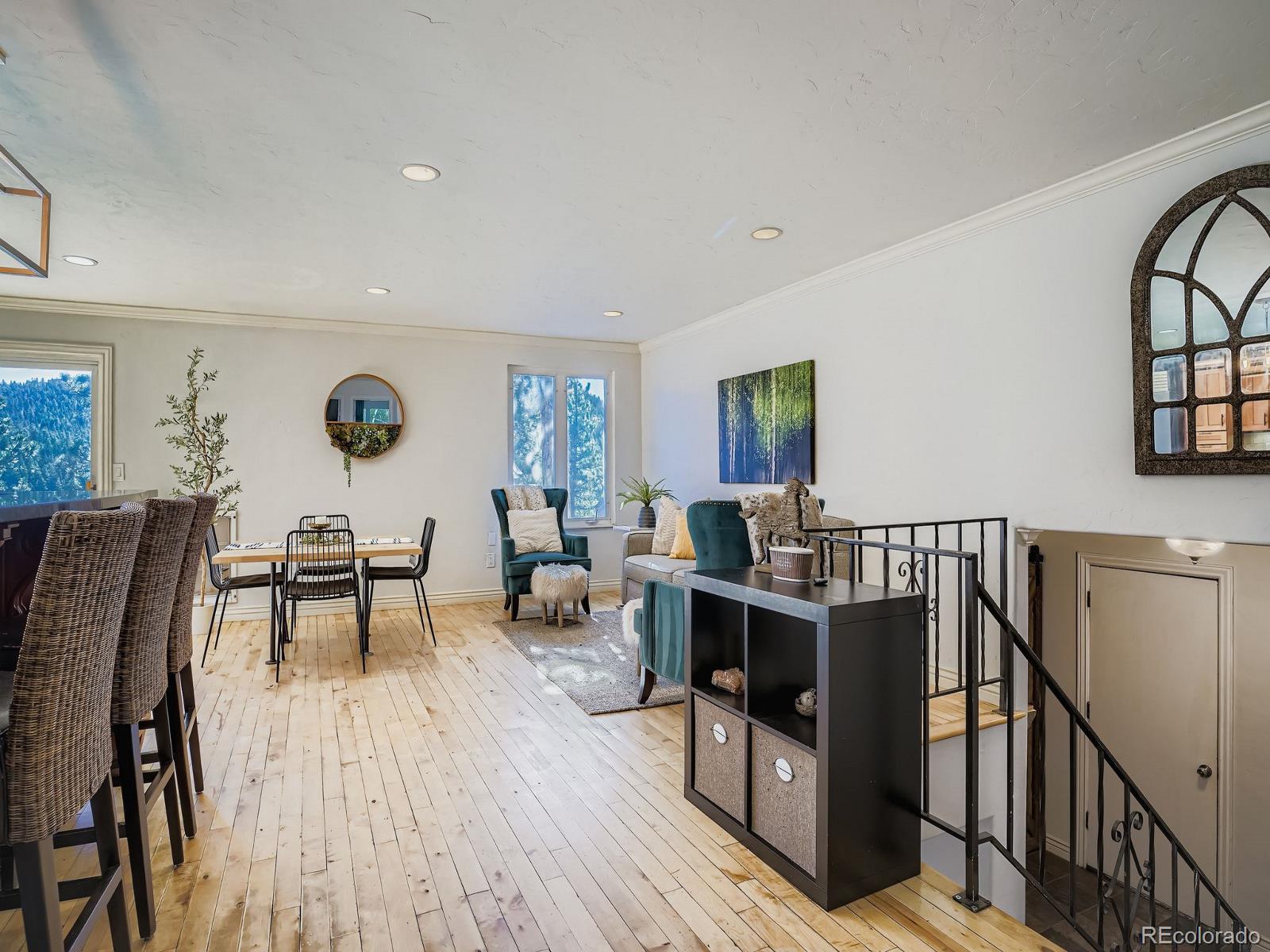 MLS Image #9 for 6434  joan lane,evergreen, Colorado