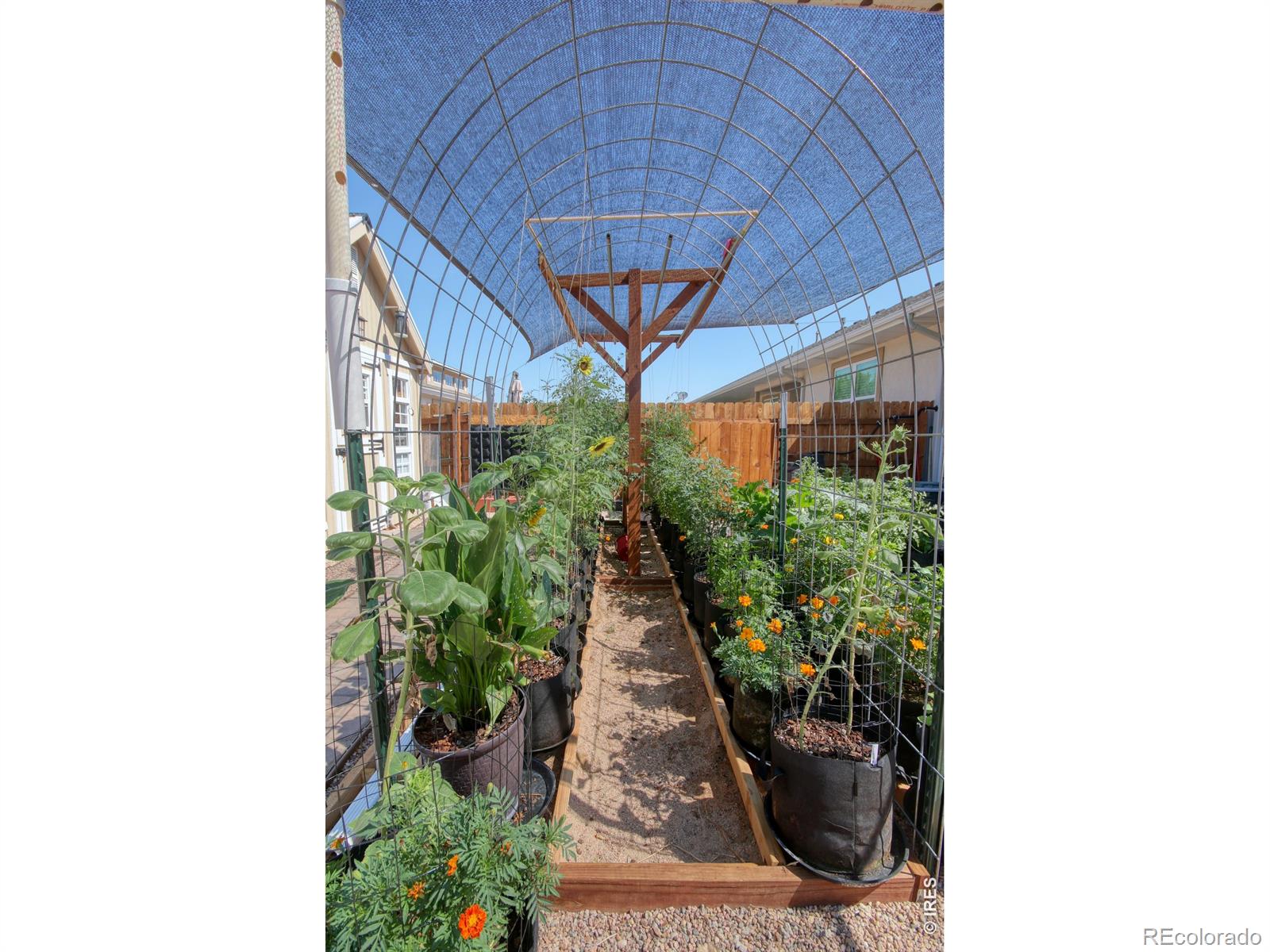 MLS Image #30 for 352  howell avenue,brush, Colorado