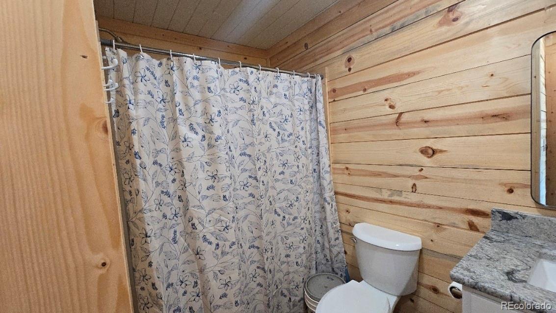 MLS Image #9 for 1340  remson road,fort garland, Colorado
