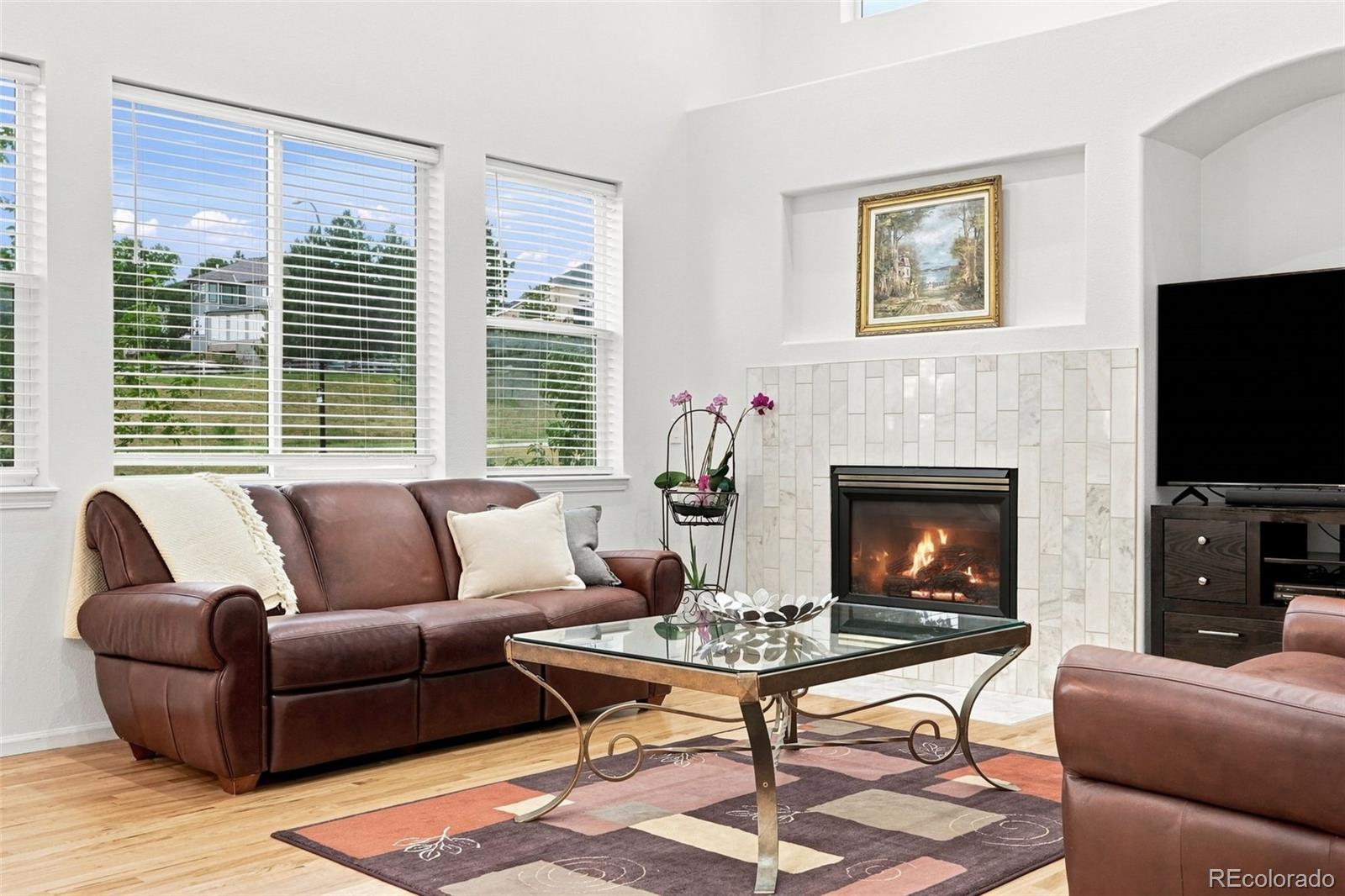 MLS Image #12 for 10574  jaguar point,lone tree, Colorado