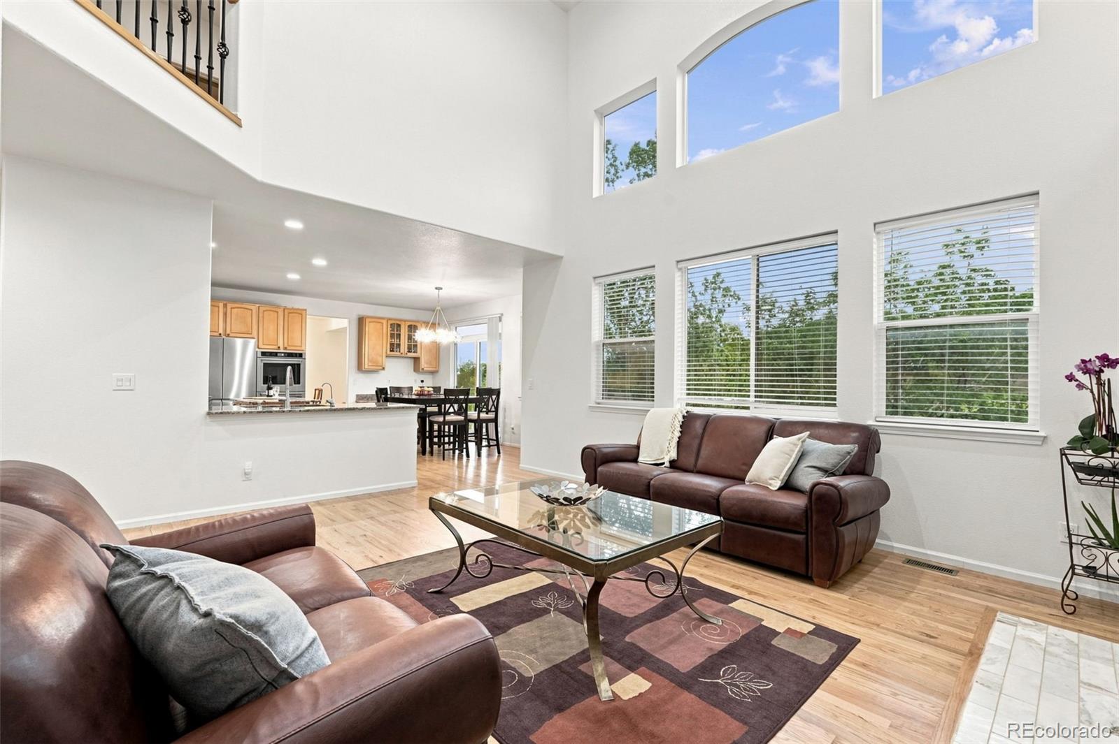 MLS Image #14 for 10574  jaguar point,lone tree, Colorado