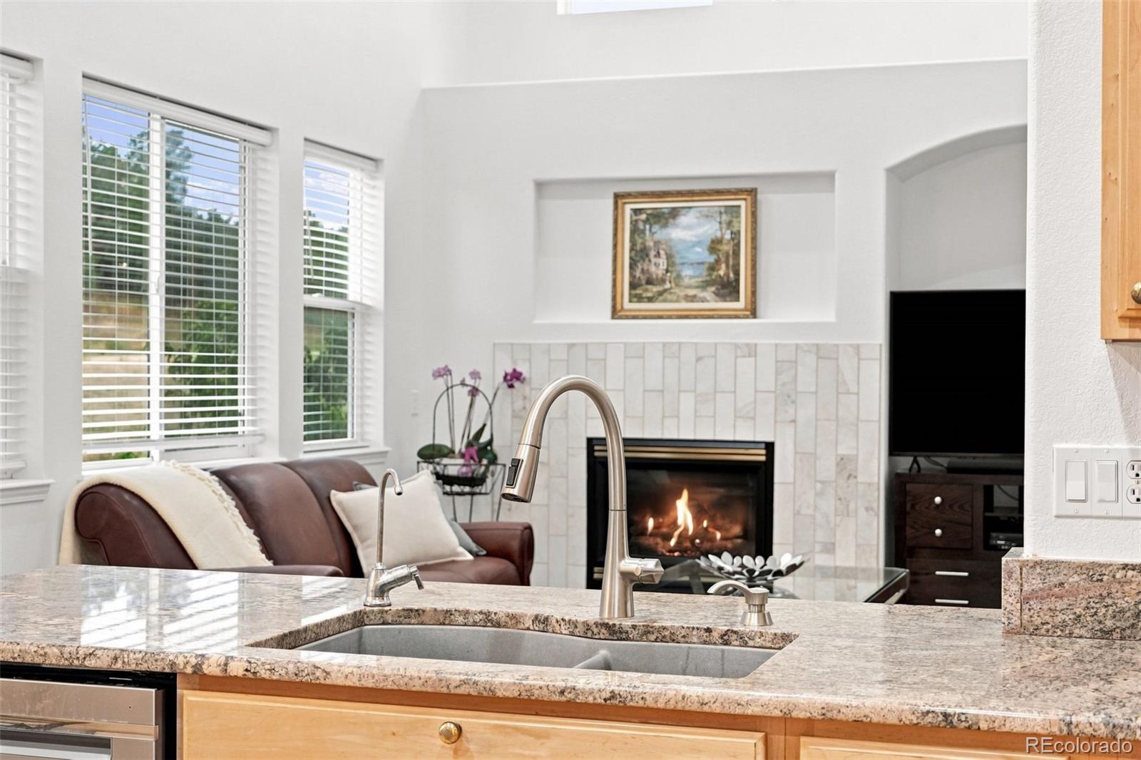 MLS Image #17 for 10574  jaguar point,lone tree, Colorado
