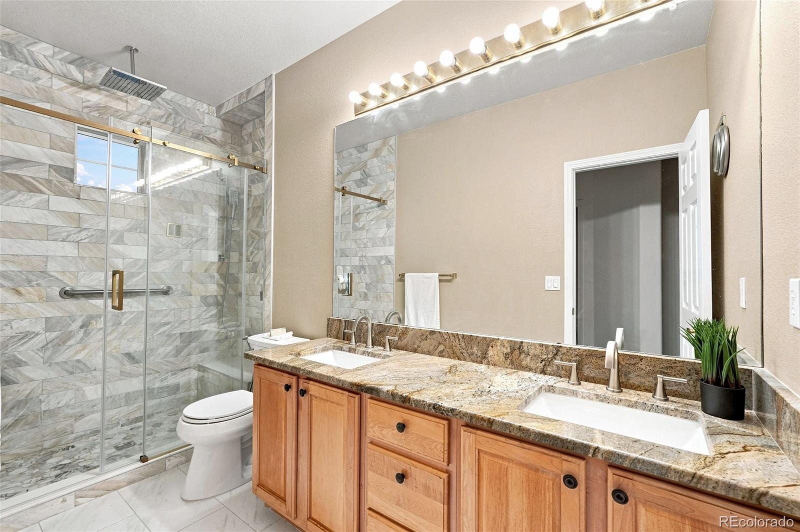 MLS Image #32 for 10574  jaguar point,lone tree, Colorado