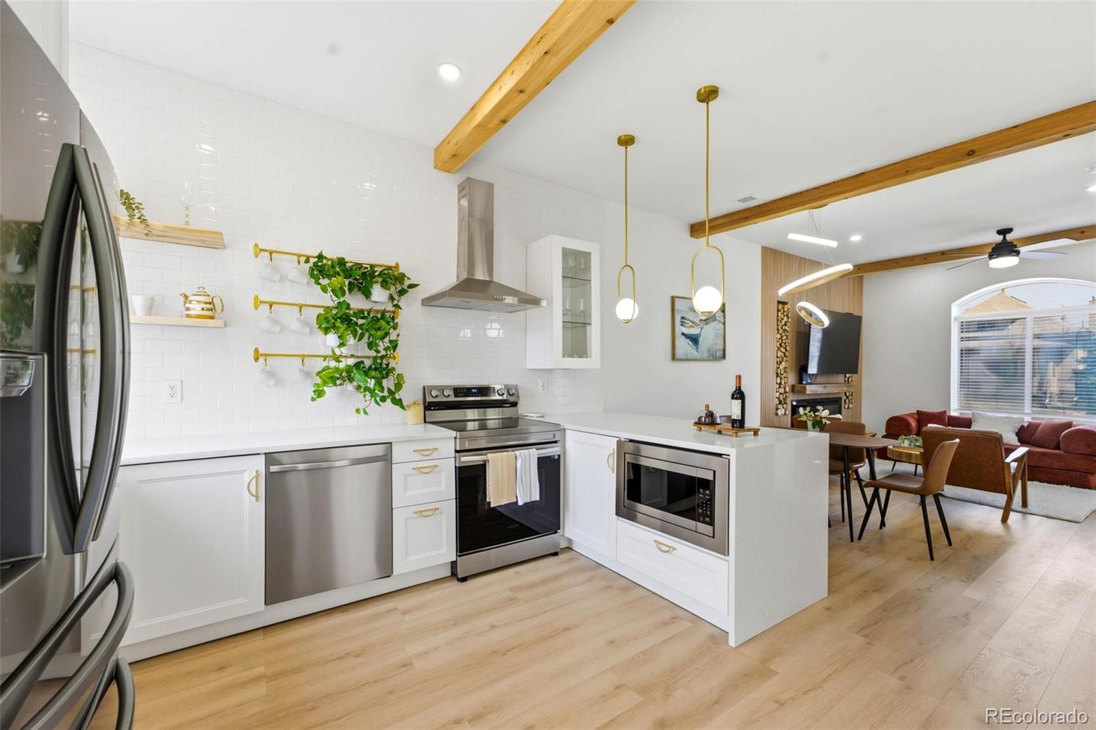 MLS Image #8 for 512 w 8th avenue,denver, Colorado