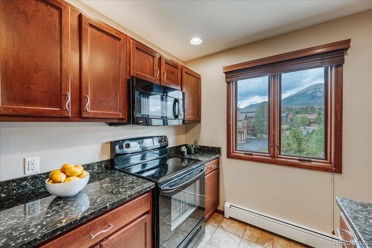 MLS Image #11 for 3710  ryan gulch road,silverthorne, Colorado