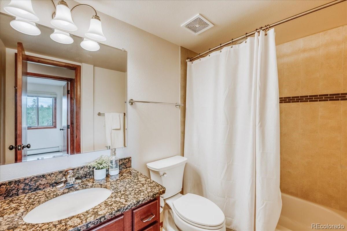 MLS Image #18 for 3710  ryan gulch road,silverthorne, Colorado