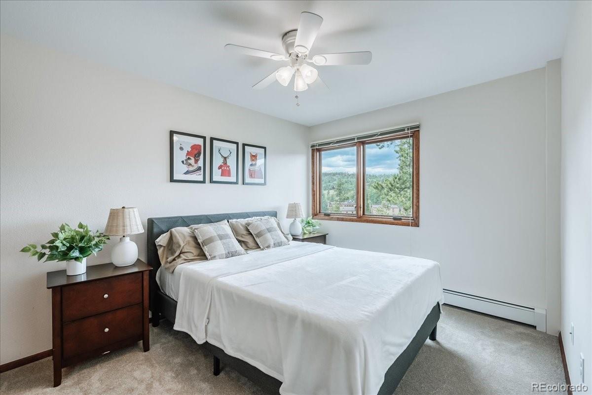 MLS Image #19 for 3710  ryan gulch road,silverthorne, Colorado