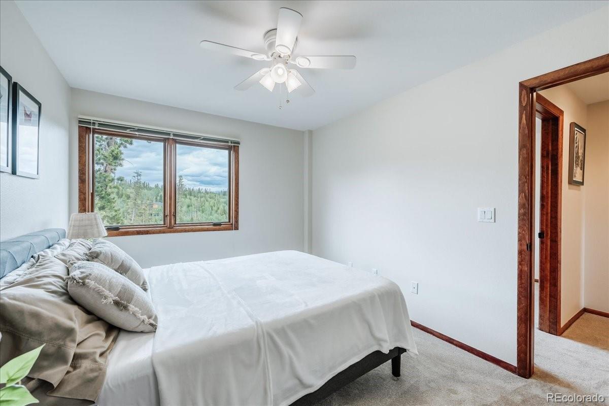 MLS Image #20 for 3710  ryan gulch road,silverthorne, Colorado