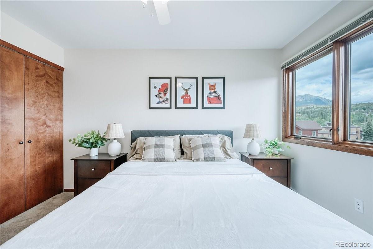 MLS Image #21 for 3710  ryan gulch road,silverthorne, Colorado
