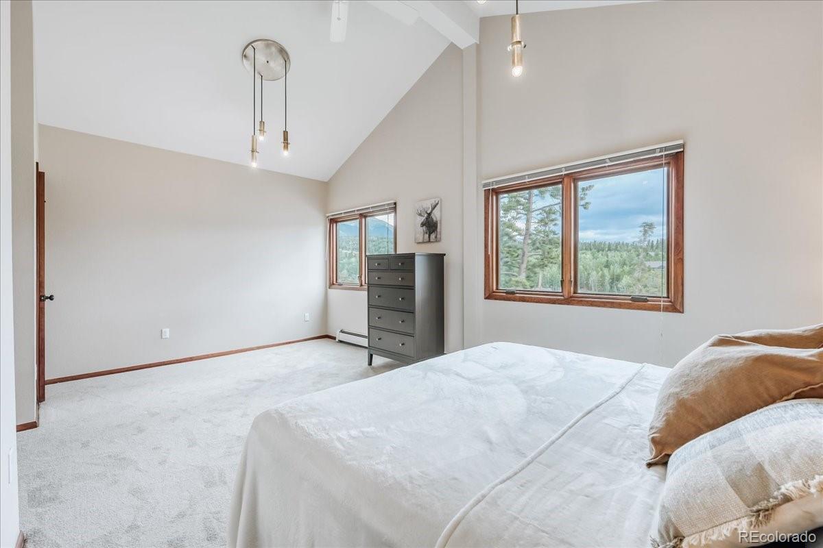 MLS Image #29 for 3710  ryan gulch road,silverthorne, Colorado