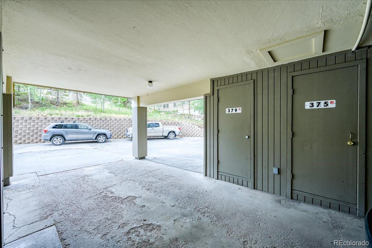 MLS Image #41 for 3710  ryan gulch road,silverthorne, Colorado