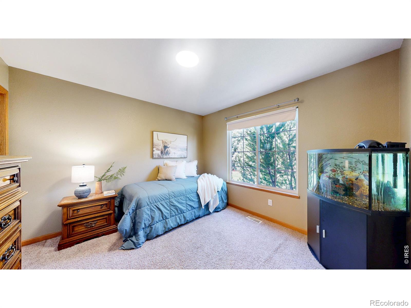 MLS Image #21 for 1104  san miguel drive,severance, Colorado