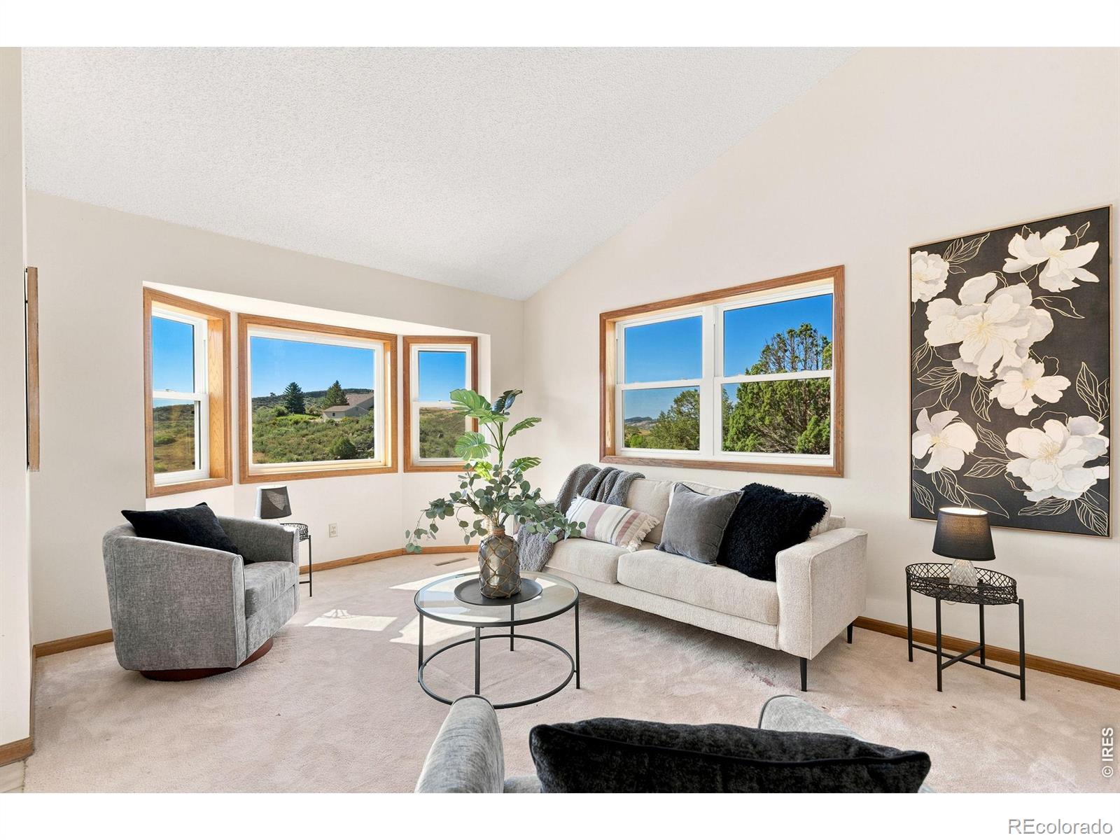 MLS Image #13 for 8060  firethorn drive,loveland, Colorado