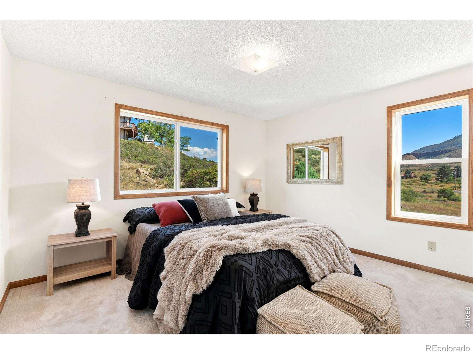 MLS Image #5 for 8060  firethorn drive,loveland, Colorado