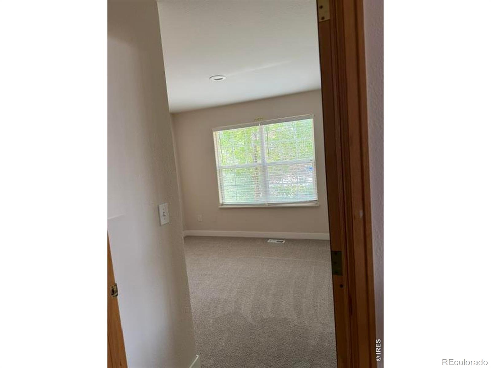 MLS Image #17 for 629  ash street,windsor, Colorado