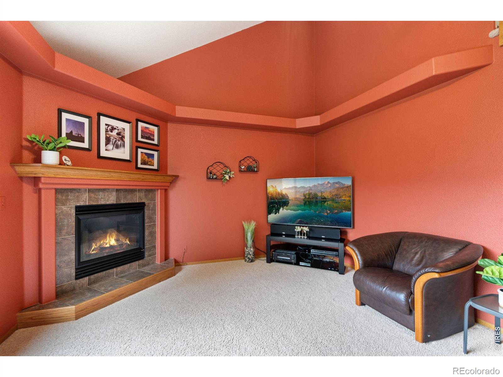 MLS Image #11 for 3545  sunflower way,fort collins, Colorado