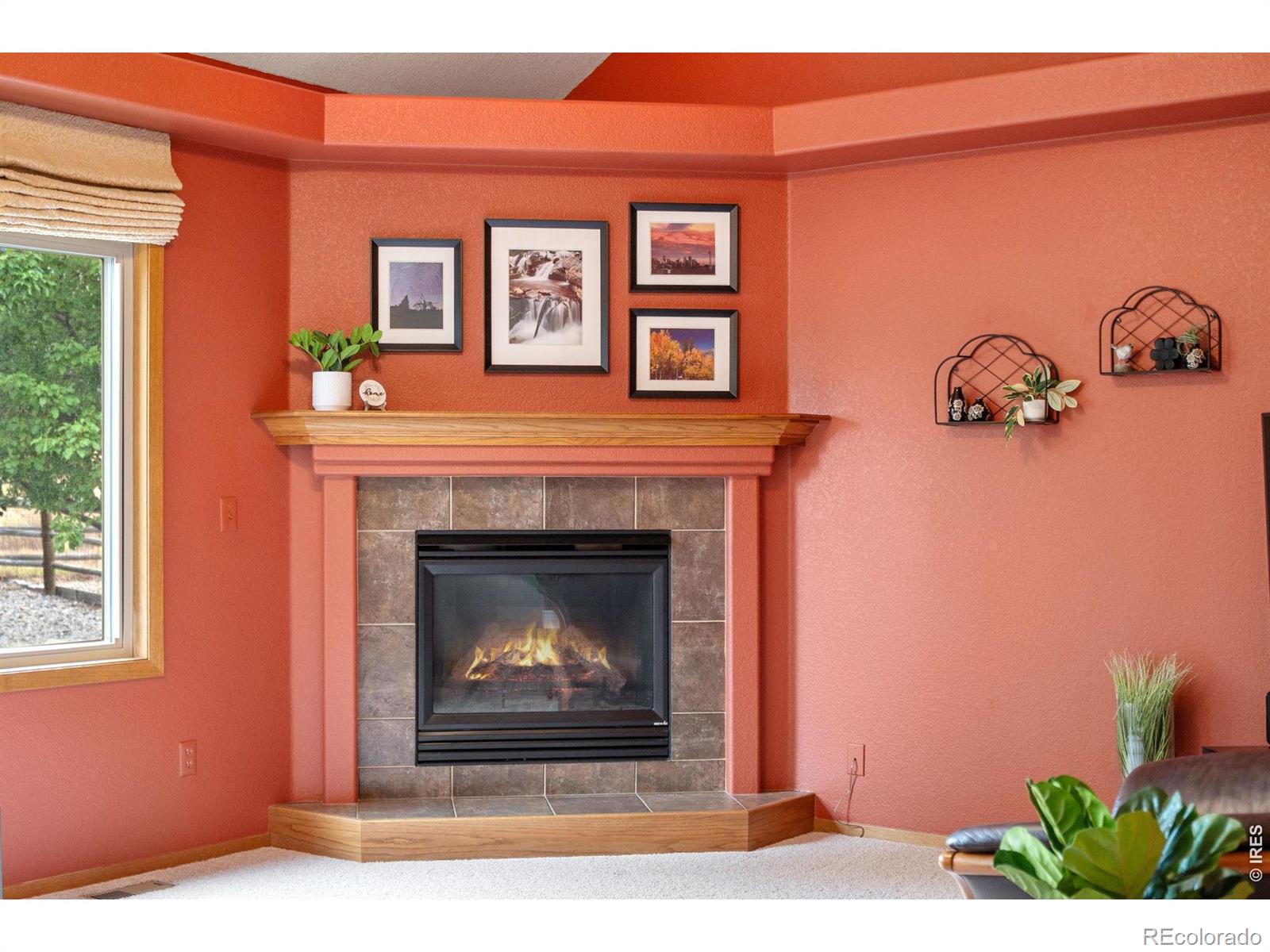 MLS Image #12 for 3545  sunflower way,fort collins, Colorado