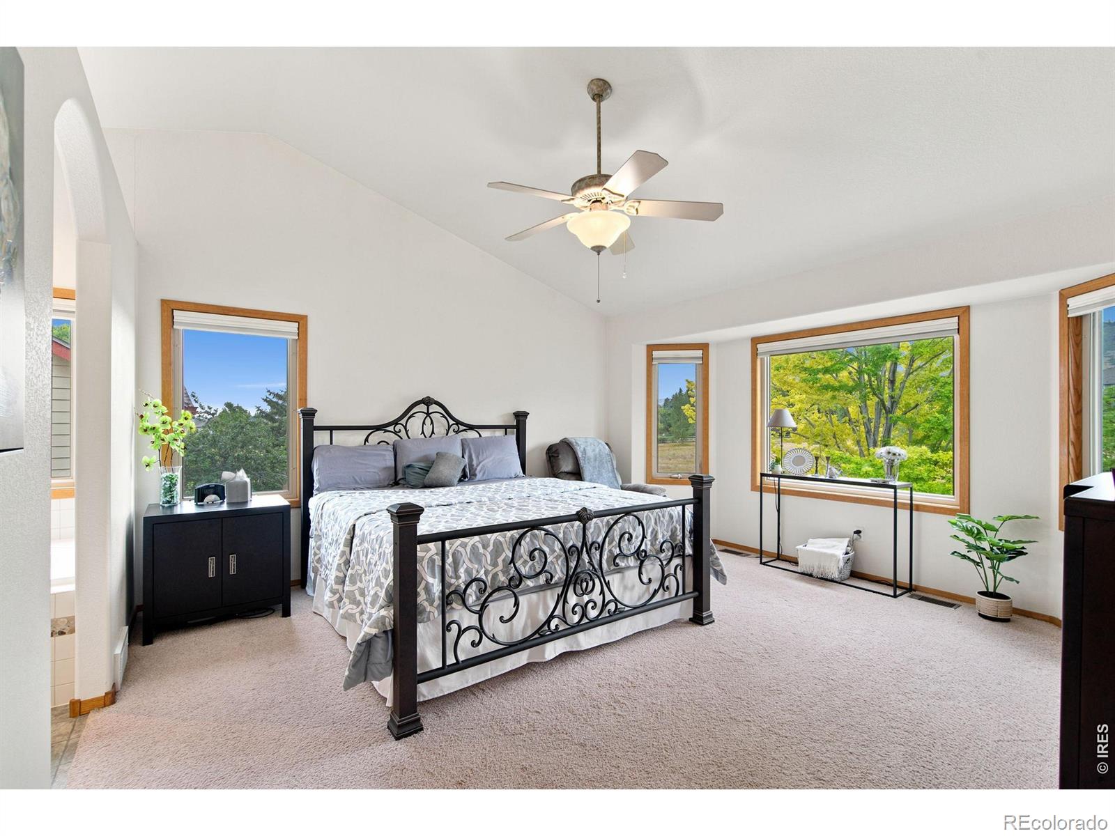 MLS Image #14 for 3545  sunflower way,fort collins, Colorado