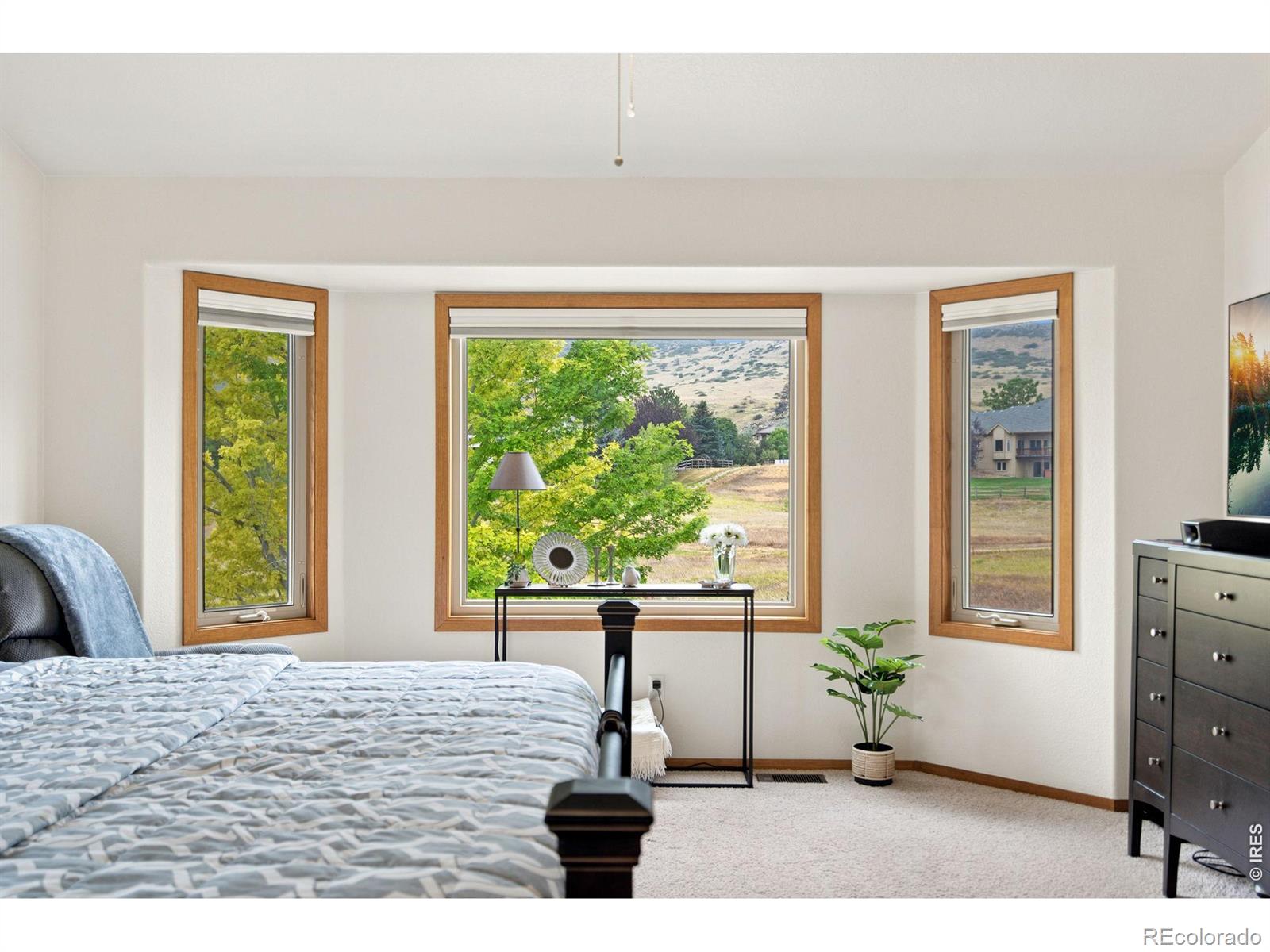 MLS Image #17 for 3545  sunflower way,fort collins, Colorado