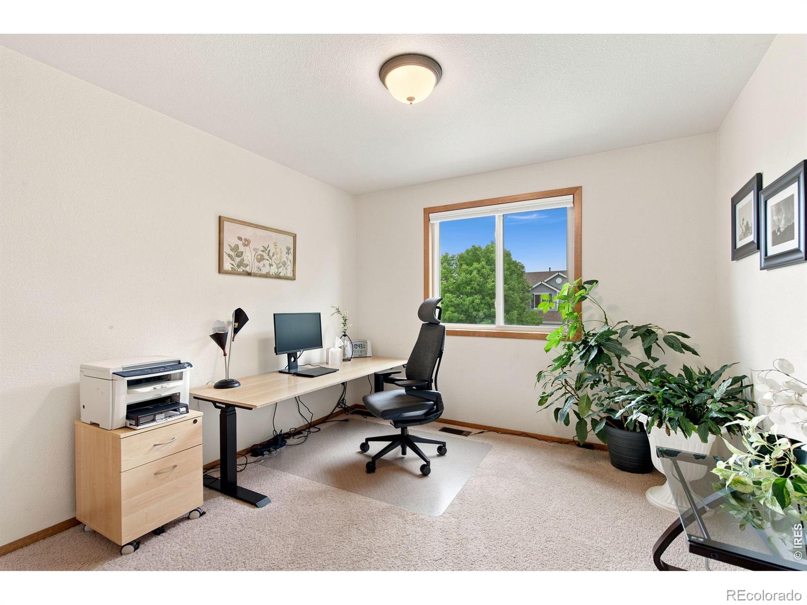 MLS Image #24 for 3545  sunflower way,fort collins, Colorado