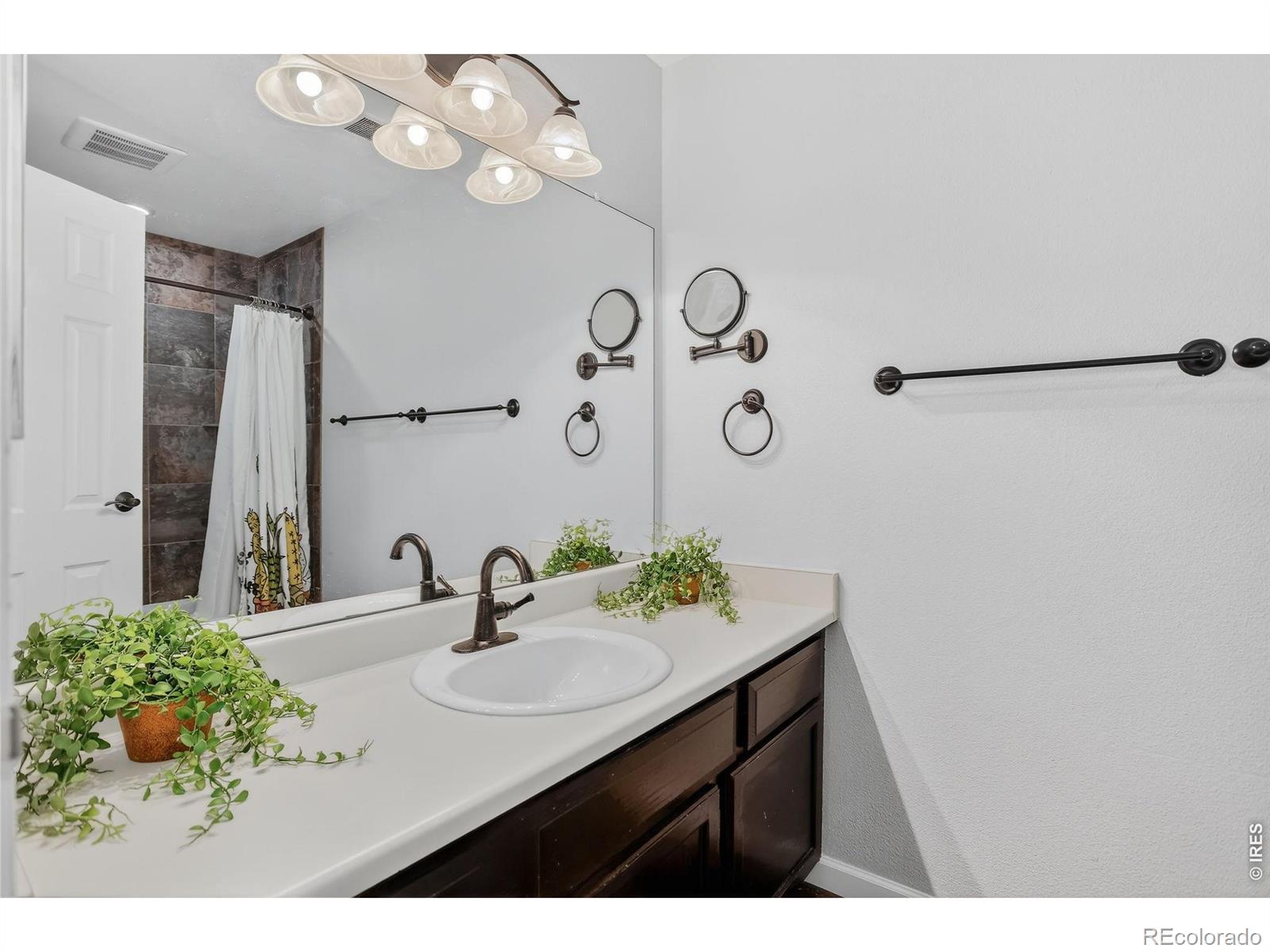 MLS Image #10 for 447  wright street,lakewood, Colorado